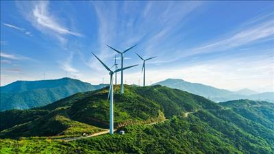 Phối hợp đưa các dự án điện gió tại Quảng Trị về đích đúng tiến độ