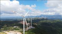 VCEA luôn sẵn sàng hỗ trợ các doanh nghiệp đầu tư dự án điện gió tại Quảng Trị