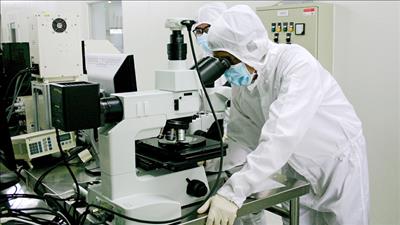 Nâng cao hiệu quả hoạt động của Quỹ phát triển khoa học, công nghệ và đổi mới sáng tạo