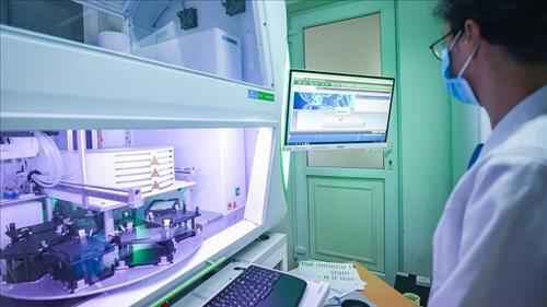 Chính phủ quy định về tổ chức và hoạt động của Quỹ Đổi mới công nghệ quốc gia