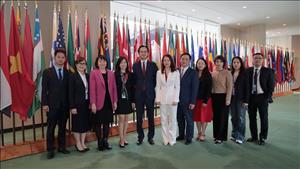 Việt Nam tái đắc cử vào Hội đồng Nhân quyền Liên Hợp Quốc nhiệm kỳ 2026 - 2028