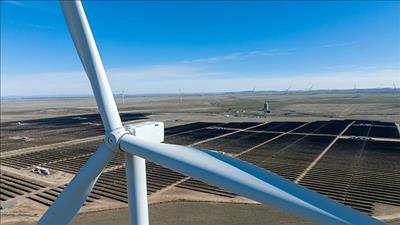 Công suất năng lượng tái tạo toàn cầu tiếp tục tăng mạnh trong năm 2022