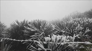 Bắc Bộ rét đậm, rét hại; Trung Bộ có mưa rào rải rác; Nam Bộ ngày nắng