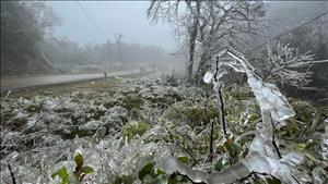 Ban chỉ đạo Phòng thủ dân sự quốc gia đề nghị các địa phương ứng phó với rét đậm, rét hại