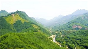 Thành lập Quỹ Bảo vệ và phát triển rừng Việt Nam