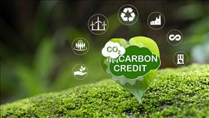 Đề xuất lập sàn giao dịch sản phẩm tài chính xanh, sàn giao dịch tín chỉ carbon trong Trung tâm tài chính quốc tế