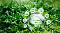 Phối hợp tổ chức vận hành sàn giao dịch carbon trong nước