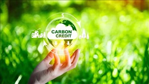 Thị trường carbon Việt Nam cần lực kéo để tạo thanh khoản