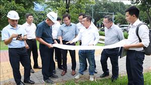 Kiểm tra dự án truyền tải điện cấp bách, đảm bảo cung cấp điện cho sân bay Tân Sơn Nhất