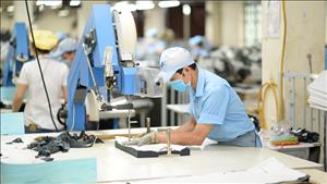 EuroCham: Việt Nam vẫn là điểm tựa chiến lược giữa biến động toàn cầu