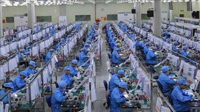 Dự báo tăng trưởng GDP có thể đạt 6,95% trong năm 2024