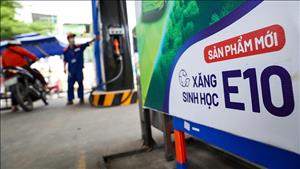 Đề xuất cơ chế đẩy nhanh triển khai lộ trình sử dụng xăng sinh học E10