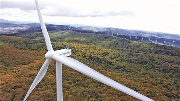Đề nghị Siemens đẩy mạnh hợp tác phát triển ngành công nghiệp năng lượng tái tạo