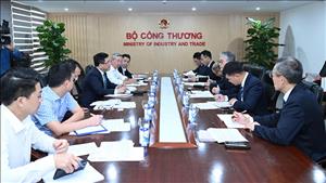 Khuyến khích tập đoàn Nhật Bản phát triển điện sinh khối tại Việt Nam