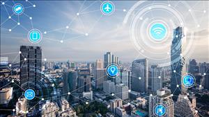 Đẩy mạnh đổi mới sáng tạo, chuyển đổi số và xây dựng cơ sở dữ liệu quốc gia