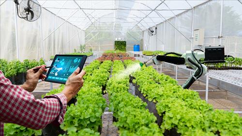 Doanh nghiệp chuyển đổi số - xanh để phát triển bền vững