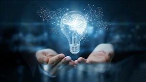 Chính phủ đẩy mạnh công tác sở hữu trí tuệ phục vụ phát triển kinh tế - xã hội