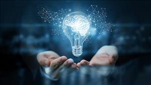 Triển khai thi hành Luật sửa đổi, bổ sung một số điều của Luật Sở hữu trí tuệ