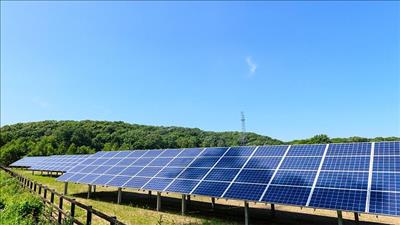 Ninh Thuận quyết định chủ trương đầu tư một số dự án điện mặt trời không đồng bộ với khả năng truyền tải điện