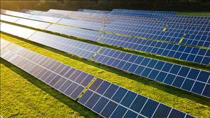 Sản lượng điện mặt trời toàn cầu tăng kỷ lục