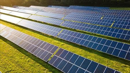 Sản lượng điện mặt trời toàn cầu tăng kỷ lục