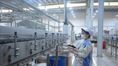 Hà Nội: Đối thoại, tháo gỡ khó khăn cho doanh nghiệp khoa học, công nghệ và đổi mới sáng tạo