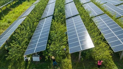 Hội nghị COP31 thúc đẩy trí tuệ nhân tạo có trách nhiệm với khí hậu