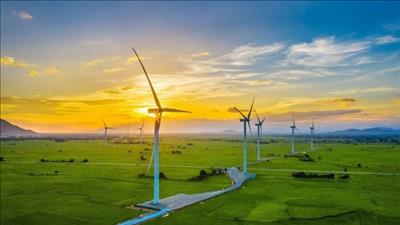 Cần khung pháp lý cao nhất để phát triển năng lượng tái tạo