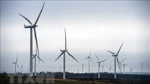 IEA: Công suất năng lượng tái tạo sẽ tăng gần gấp đôi trong 5 năm tới