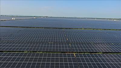 Năng lượng tái tạo chiếm gần 50% công suất điện toàn cầu