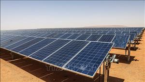 EU tăng tốc phát triển pin lưu trữ để giảm lãng phí điện gió và điện mặt trời