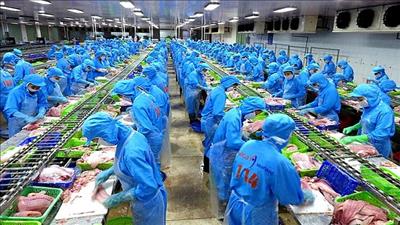 Nhiều triển vọng, dự báo tăng trưởng kinh tế Việt Nam lên 3,8%