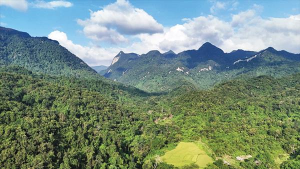 Khung pháp lý cho sàn giao dịch carbon trong nước