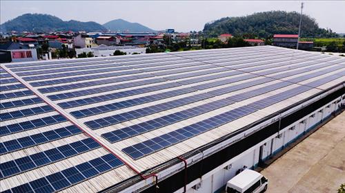 Doanh nghiệp tìm giải pháp thích ứng chuẩn ESG để phát triển bền vững