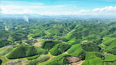 Ngày Trái đất 22/4: “Sức mạnh của chúng ta, hành tinh của chúng ta”