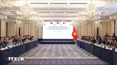 Tổng Bí thư, Chủ tịch nước Tô Lâm dự tọa đàm cấp cao với lãnh đạo doanh nghiệp tiêu biểu châu Âu và Bỉ
