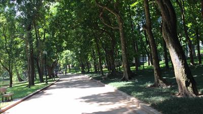 Bắc Bộ giảm mưa, nhiều nơi hửng nắng