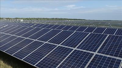 Dự kiến hoàn thành COD Nhà máy điện mặt trời Thác Mơ trong quý IV/2020