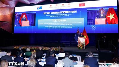 Việt Nam - Australia xây dựng, triển khai chiến lược kết nối khoa học, công nghệ và đổi mới sáng tạo tầm nhìn dài hạn