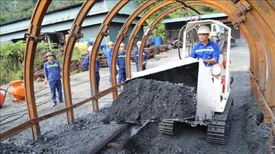 Đối tác Nhật Bản chuyển giao công nghệ khai thác than hầm lò cho TKV