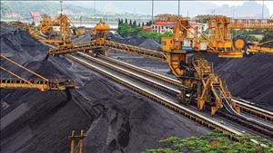 5 tháng đầu năm 2025, TKV cung ứng gần 20 triệu tấn than cho sản xuất điện