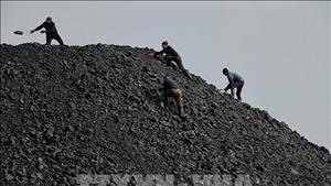 IEA: Tiêu thụ than toàn cầu sẽ đạt kỷ lục trong năm 2025