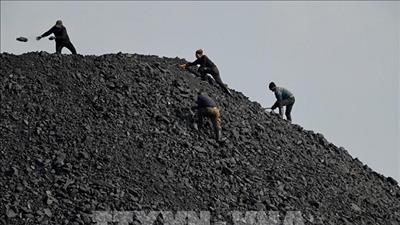 IEA: Tiêu thụ than toàn cầu sẽ đạt kỷ lục trong năm 2025