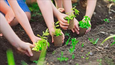 Thế hệ xanh hành động vì môi trường