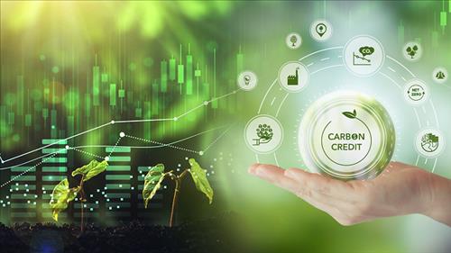 Triển khai nhiệm vụ phát triển thị trường carbon