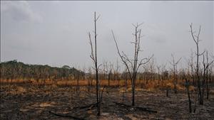 Nông nghiệp toàn cầu thiệt hại khoảng 3.260 tỷ USD do thiên tai