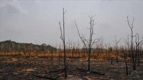 Nông nghiệp toàn cầu thiệt hại khoảng 3.260 tỷ USD do thiên tai