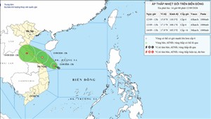 Chuẩn bị ứng phó với áp thấp nhiệt đới trên Biển Đông