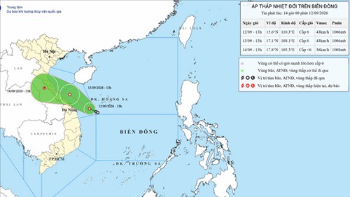 Chuẩn bị ứng phó với áp thấp nhiệt đới trên Biển Đông