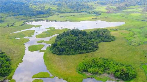 Phê duyệt Chương trình bảo vệ môi trường các di sản thiên nhiên tầm nhìn đến năm 2050
